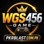 WGS456 Game Logo