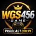 WGS456 Game Logo