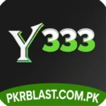 Y333 Game Logo